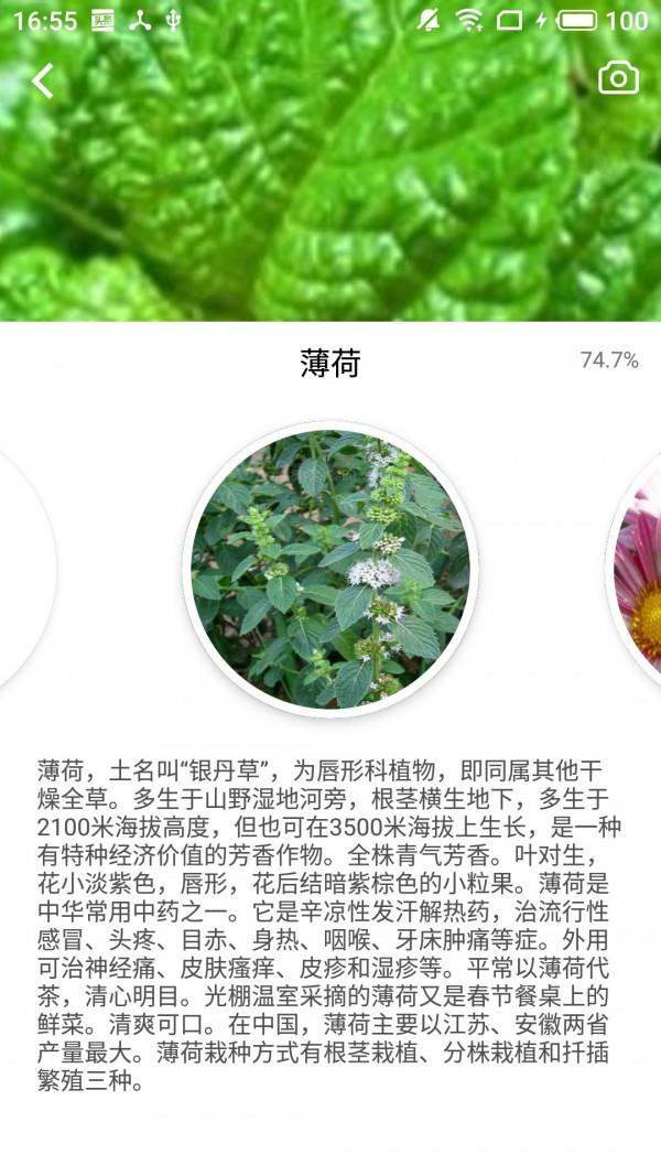 森林百科  v2.0.8图5