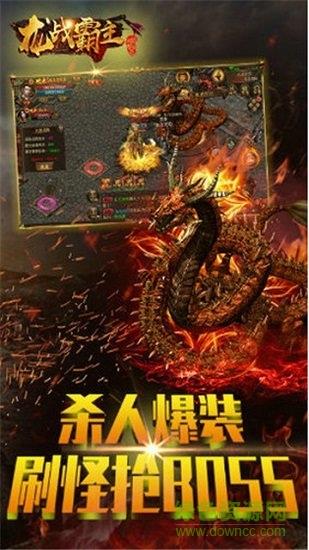 龙战霸主  v2.06图2