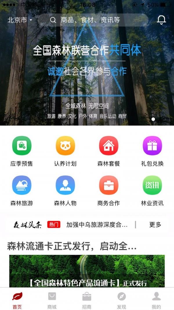 重返森林