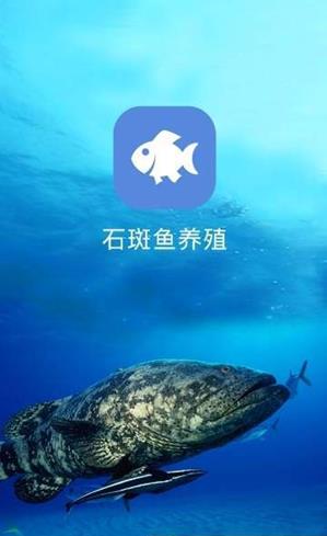 石斑鱼养殖  v1.0图1