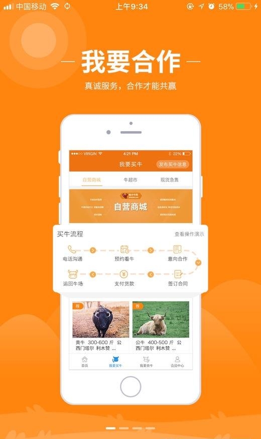 南方牛网
