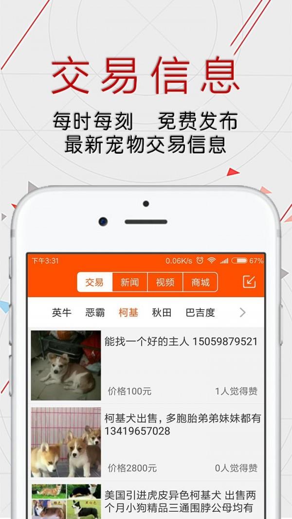 恋狗网  v1.4.7图3