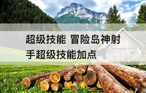 超级技能 冒险岛神射手超级技能加点