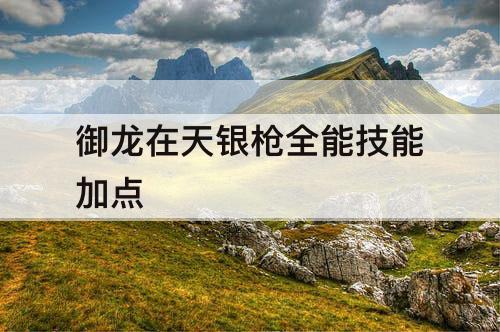 御龙在天银枪全能技能加点