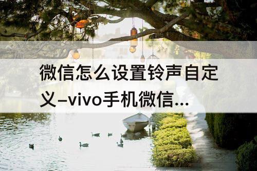 微信怎么设置铃声自定义-vivo手机微信怎么设置铃声自定义