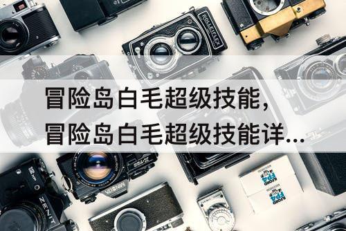 冒险岛白毛超级技能，冒险岛白毛超级技能详解