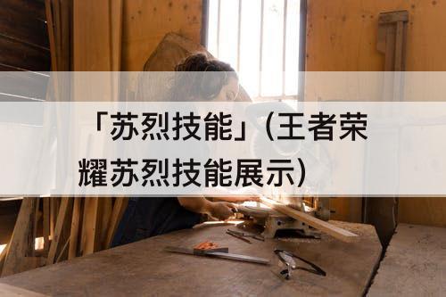 「苏烈技能」(王者荣耀苏烈技能展示)