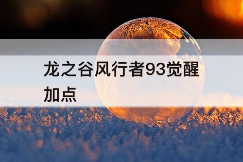 龙之谷风行者93觉醒加点