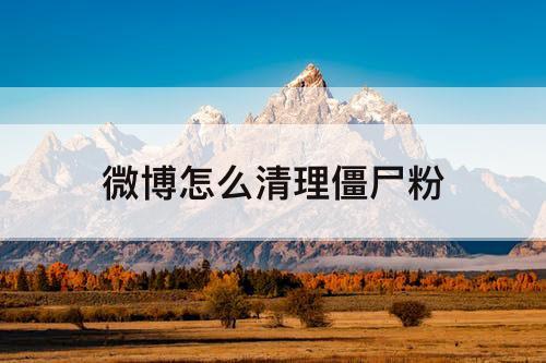 微博怎么清理僵尸粉