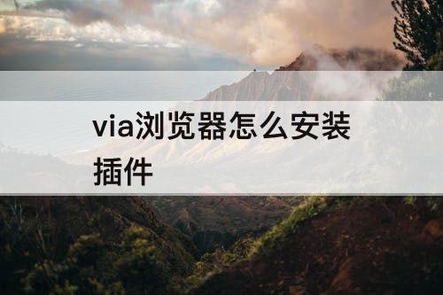 via浏览器怎么安装插件