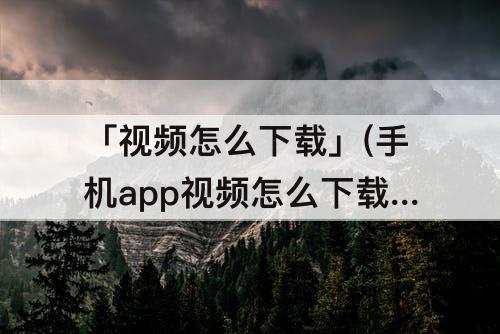 「视频怎么下载」(手机app视频怎么下载到本地)