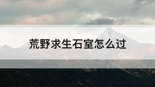 荒野求生石室怎么过