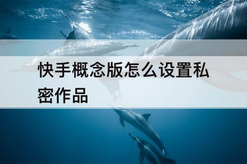 快手概念版怎么设置私密作品