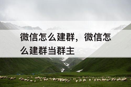微信怎么建群，微信怎么建群当群主