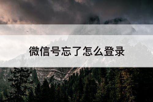 微信号忘了怎么登录