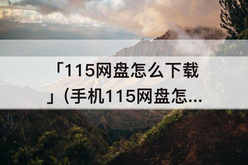 「115网盘怎么下载」(手机115网盘怎么下载115开头的链接)