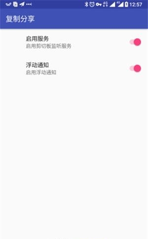 复制分享  v0.0.6图3