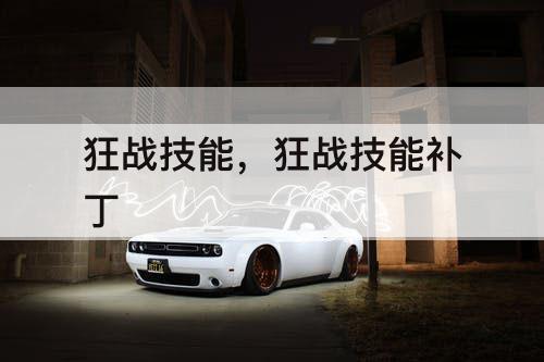 狂战技能，狂战技能补丁