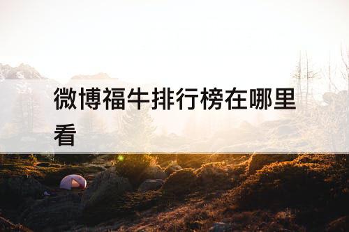 微博福牛排行榜在哪里看