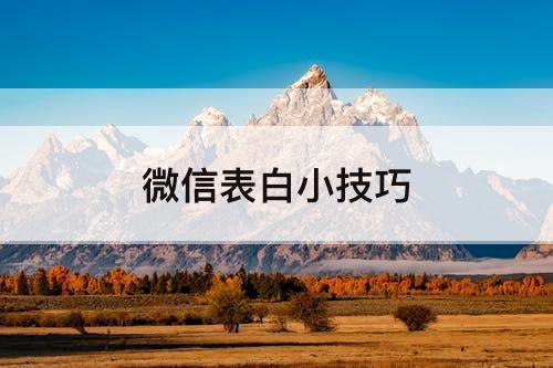 微信表白小技巧