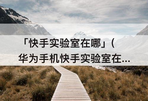 「快手实验室在哪」(华为手机快手实验室在哪里打开)