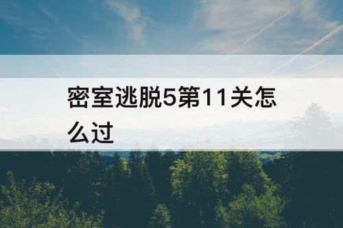 密室逃脱5第11关怎么过