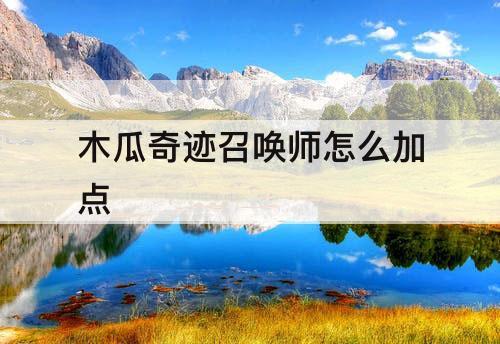 木瓜奇迹召唤师怎么加点