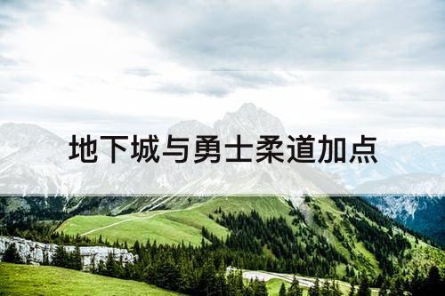 地下城与勇士柔道加点