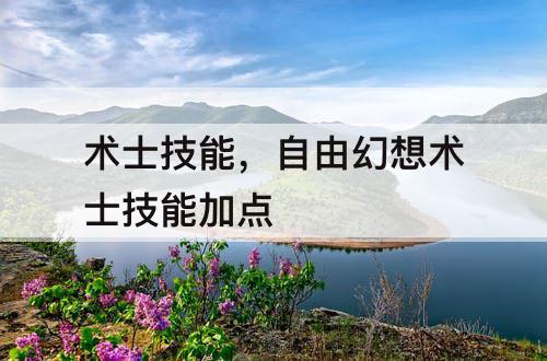 术士技能，自由幻想术士技能加点