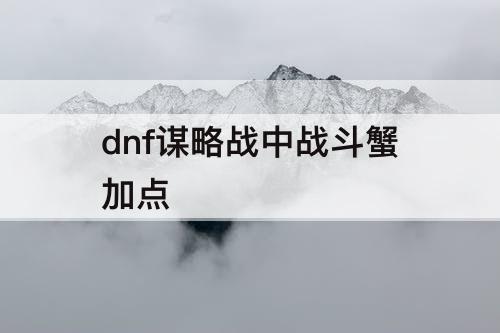 dnf谋略战中战斗蟹加点