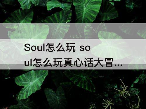 Soul怎么玩 soul怎么玩真心话大冒险