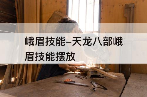 峨眉技能-天龙八部峨眉技能摆放