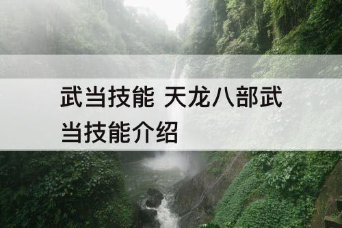武当技能 天龙八部武当技能介绍