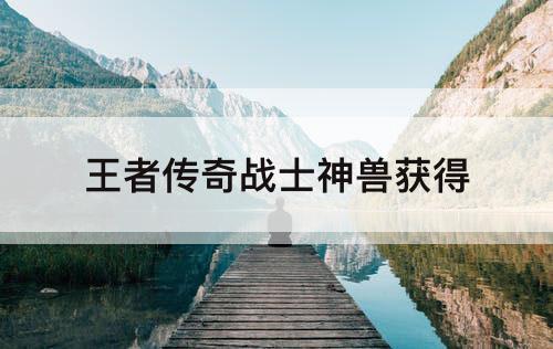 王者传奇战士神兽获得