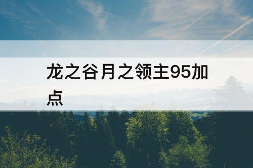 龙之谷月之领主95加点