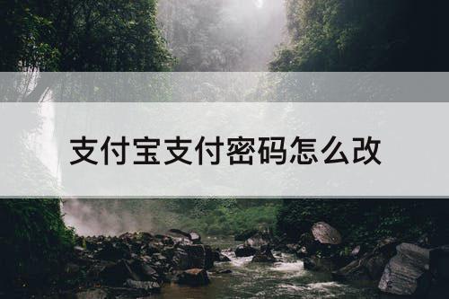 支付宝支付密码怎么改