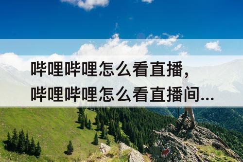 哔哩哔哩怎么看直播，哔哩哔哩怎么看直播间多少人