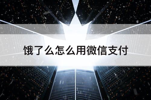 饿了么怎么用微信支付