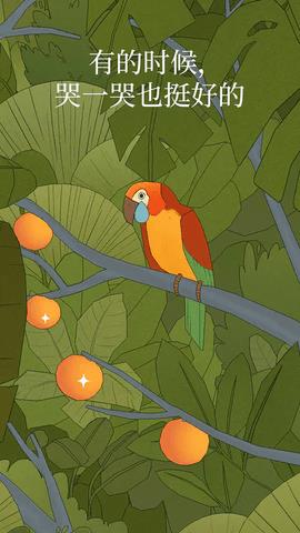 孤独的鸟儿(Bird