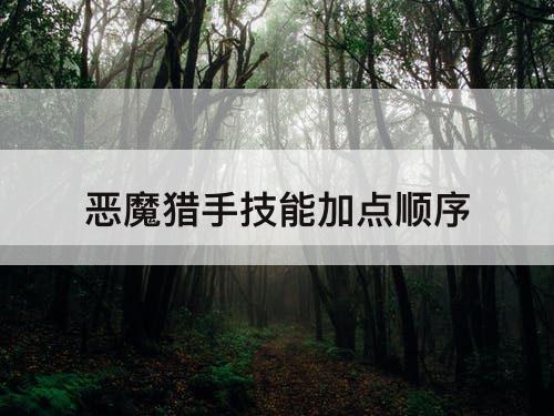 恶魔猎手技能加点顺序