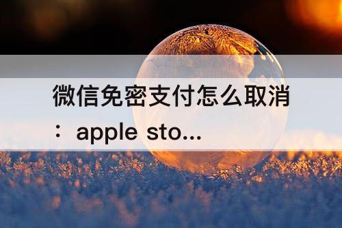 微信免密支付怎么取消：apple store微信免密支付怎么取消