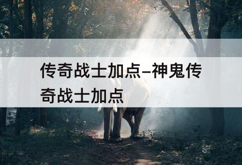 传奇战士加点-神鬼传奇战士加点