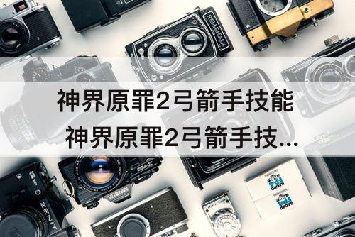 神界原罪2弓箭手技能 神界原罪2弓箭手技能加点图