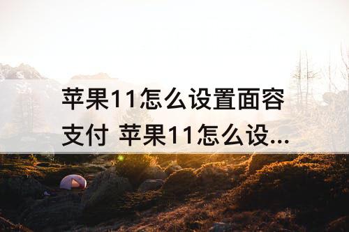 苹果11怎么设置面容支付 苹果11怎么设置面容支付拼多多