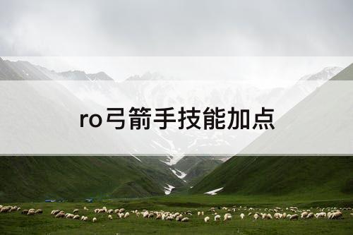 ro弓箭手技能加点