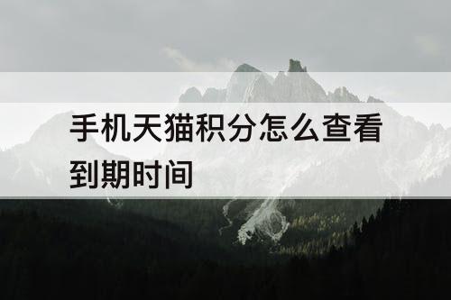 手机天猫积分怎么查看到期时间