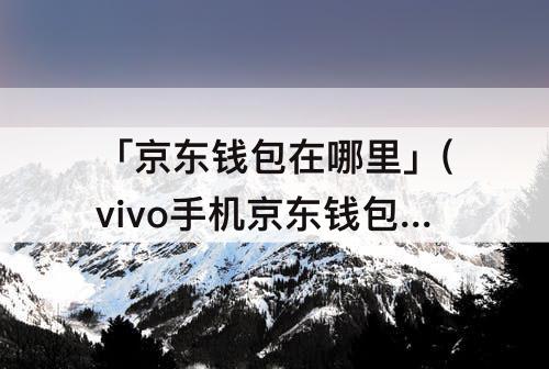 「京东钱包在哪里」(vivo手机京东钱包在哪里打开)