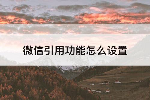 微信引用功能怎么设置