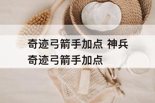 奇迹弓箭手加点 神兵奇迹弓箭手加点