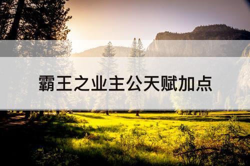 霸王之业主公天赋加点